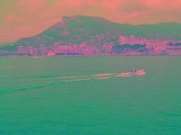 IMGP2794 edited (Medium)